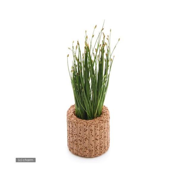 ijCt}`ijwA[OXitji_jiPj