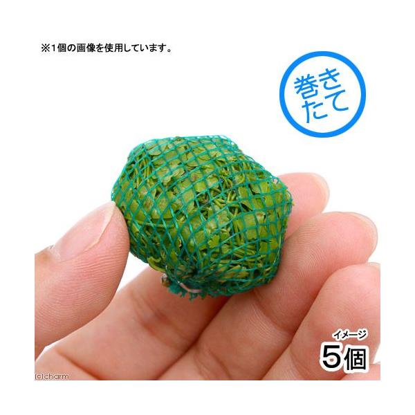 ijā@I[XgA@m`h{[i_jitjiTj