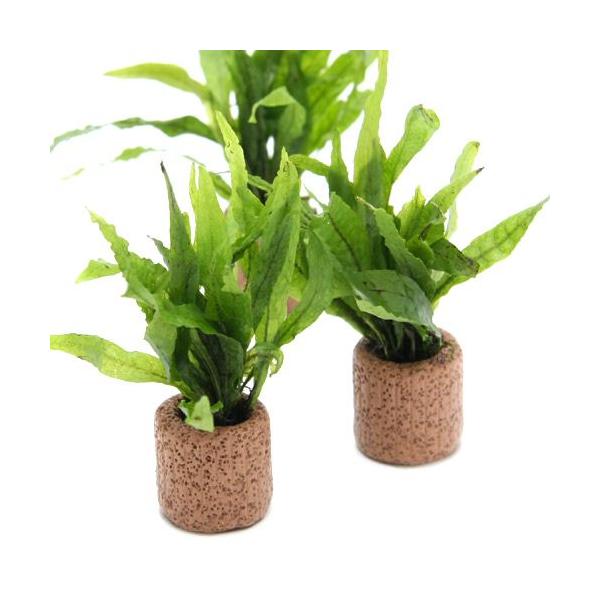 ijCt}`ij~N\E@vevX@i[iRj