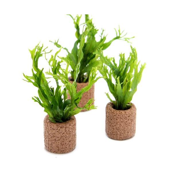 ijCt}`ij~N\E@EFfBtiRj