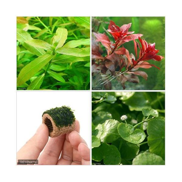 ijrMi[R_Zbgitj{Ct}`ijEB[Xi_jiPjitj