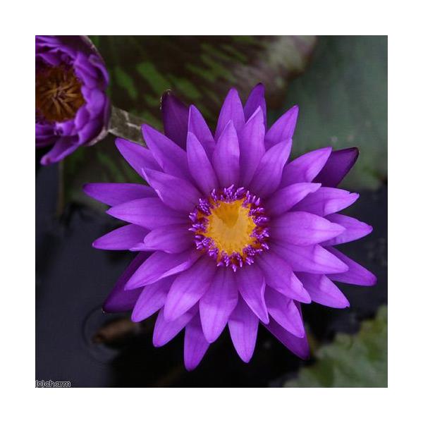 irIg[vj@@Mѐ@iXCjij@^UiCgiP|bgjixԁj