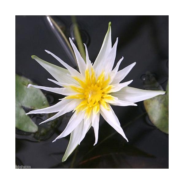 irIg[vj@@Mѐ@iXCjij@v\fB@C@zCgiP|bgjixԁj