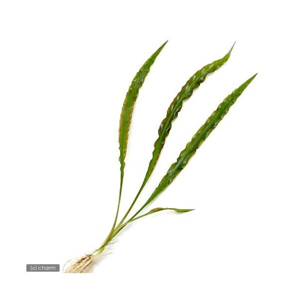 ijNvgRl@XsXitji_jiRj