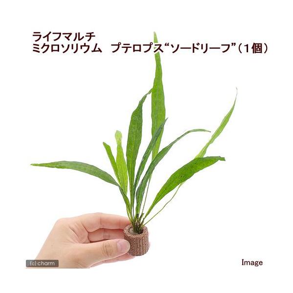 ijCt}`ij~N\E@vevX@\[h[tiPj