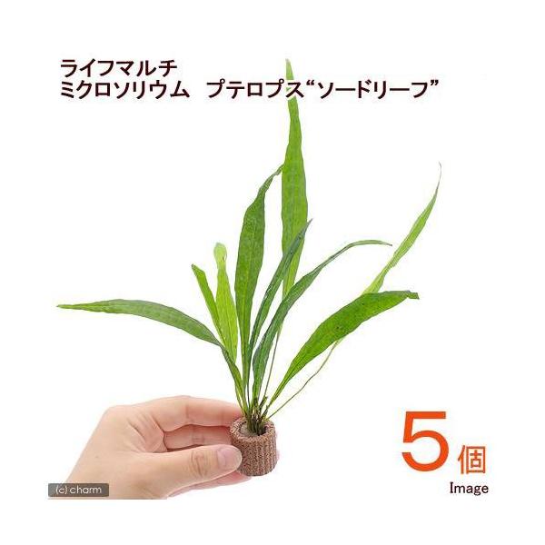 ijCt}`ij~N\E@vevX@\[h[tiTj