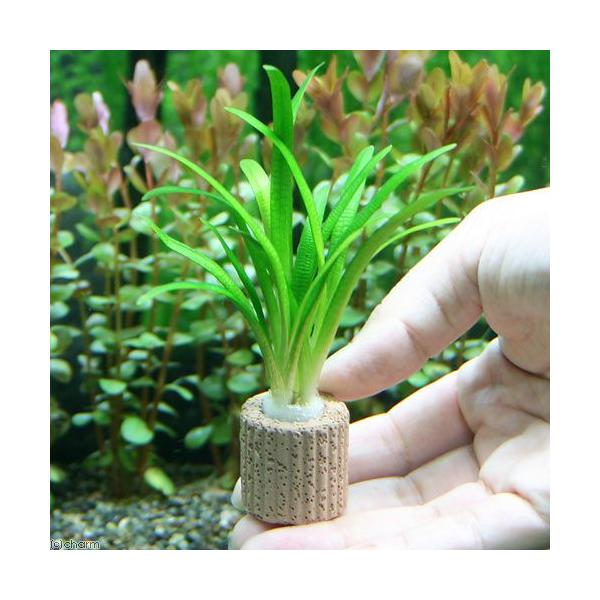 ijCt}`ijsO~[`F[TW^Aitji_jiQj