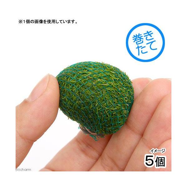 ijā@VA{[itji_jiTj@kCEBq֗vۉ