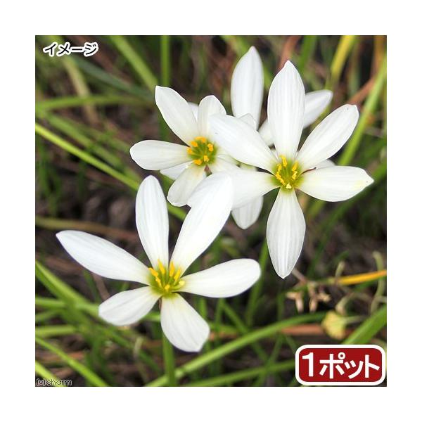 irIg[vjA@^}X_iʗjiP|bgj@Aixԁj