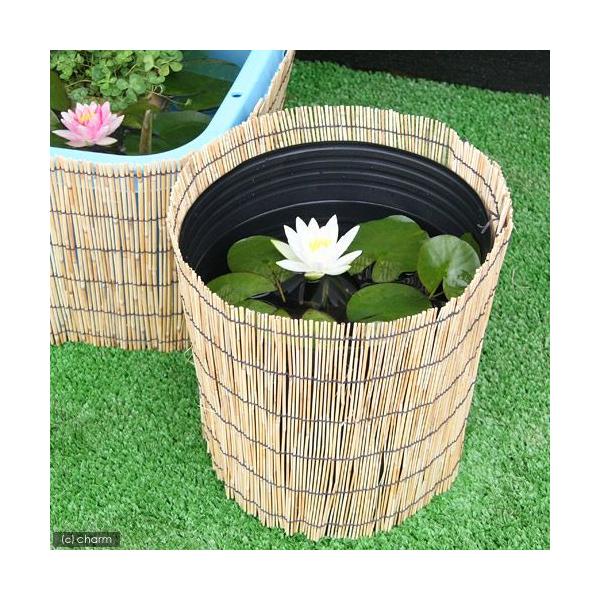 irIg[vji߂jy@iXCjZbgitj@{Bl