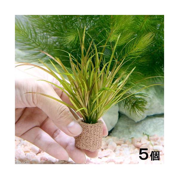 ijCt}`ijuNT@V[g[ti_jiTj