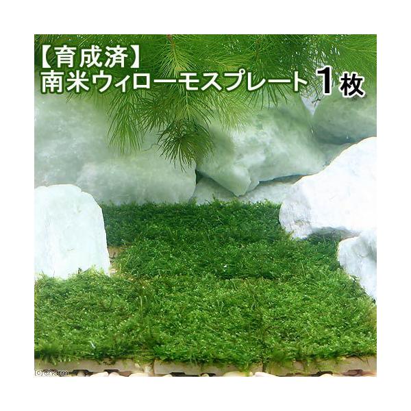 ij琬ρ@ăEB[X@v[gitji_jiPj