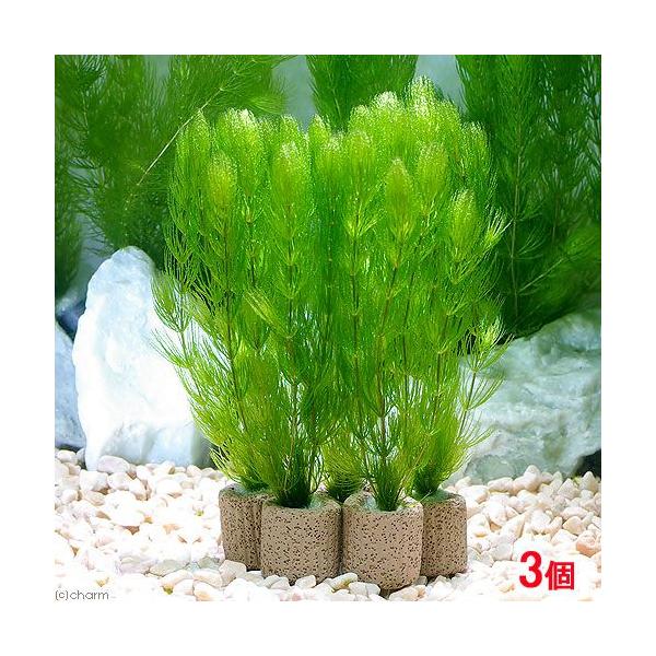 ijCt}`ij}ci_jiRj_J@@򉻁@Y