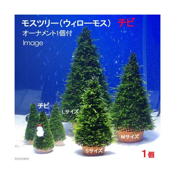 ijā@Xc[iEB[Xj`rTCYitji_jiPjiI[igPtj@{Bl