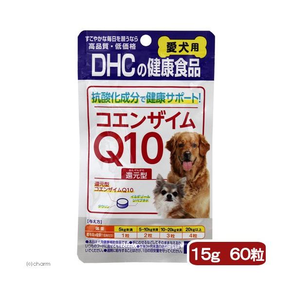 @Tv@cgb@p@RGUCpPOҌ^@UO@PT