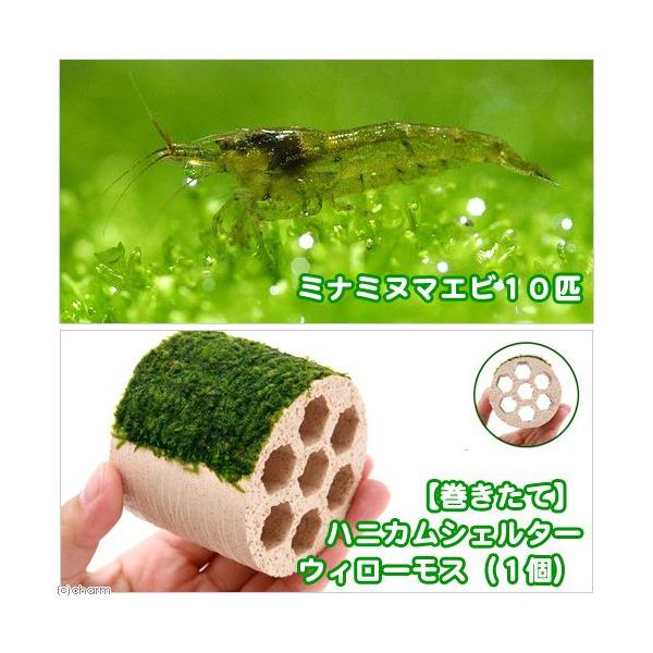 iGrjijā@njJVF^[@EB[Xitji_jiPj{~i~k}GriPOCj