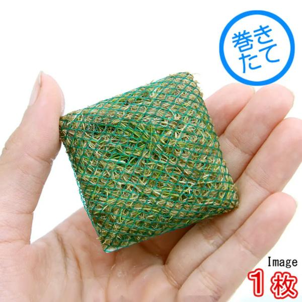 ijā@bNE[t@wA[OXV[g@^Citji_jiPj