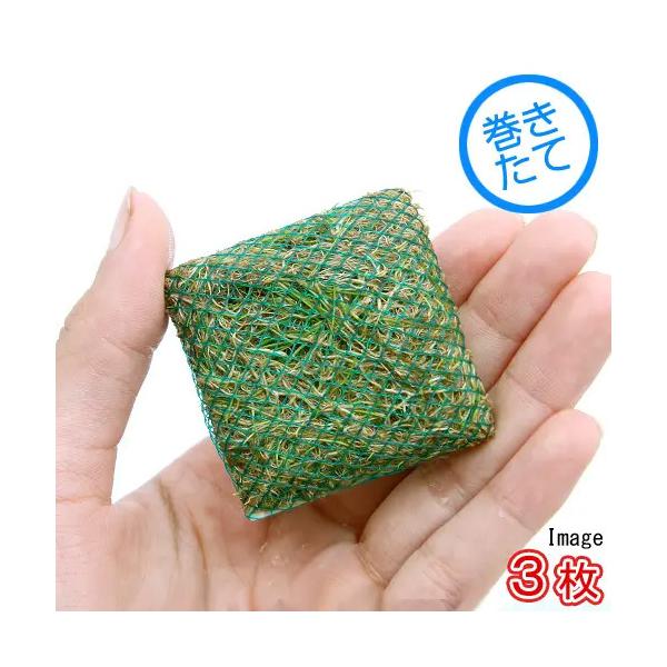 ijā@bNE[t@wA[OXV[g@^Citji_jiRj