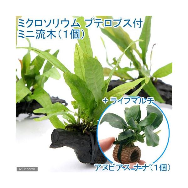 ij~N\E@vevXt@؁@rrTCYiP{j{Ct}`ijAkrAXii