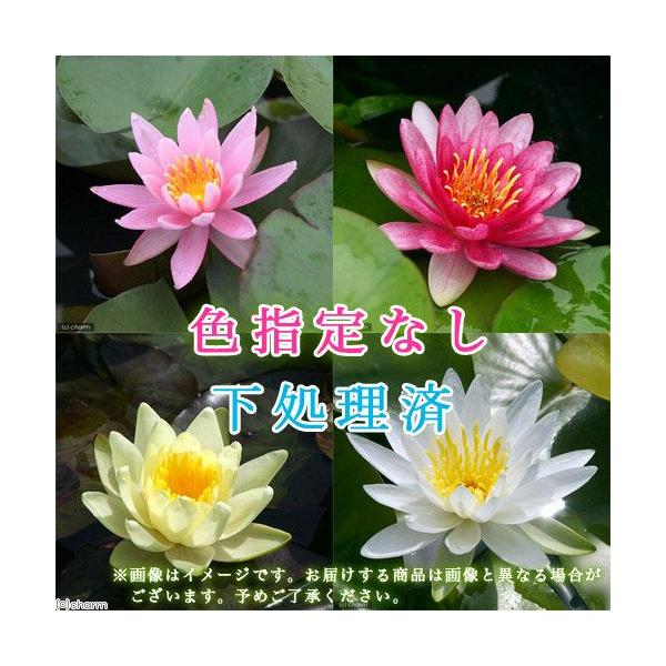 irIg[vj@@ѐ@iXCj@@FwȂiTjixԁj