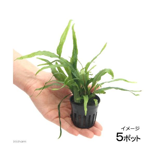 ij~N\EDgCfg@ցiT|bgj