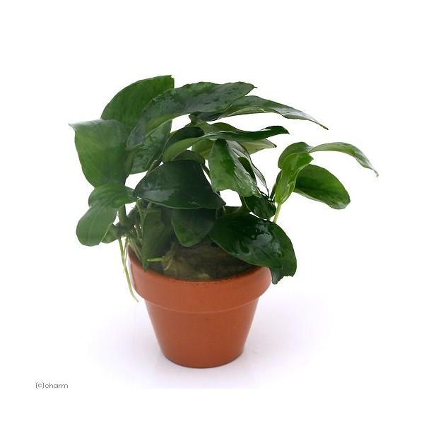 ij~jfĂ@AkrAXiiitjiPj