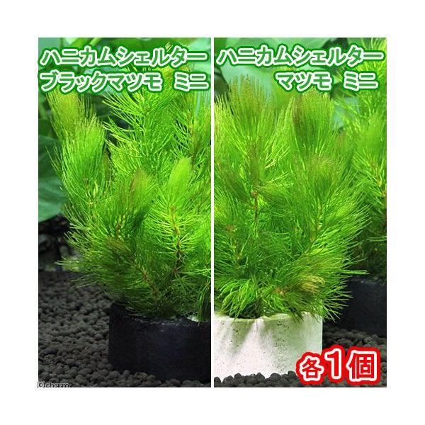 ijnjJVF^[@}c@~j@Zbgi_jiePj