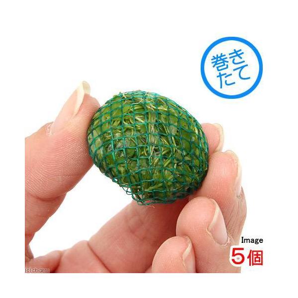 ijā@~bNX{[iwAV[{I[XgAm`hjitjiTj