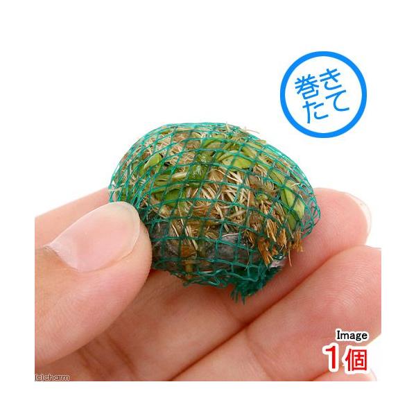 ijā@~bNX{[iwAV[{Ob\XeBO}jitjiPj