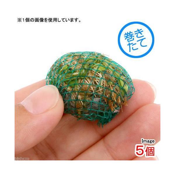 ijā@~bNX{[iwAV[{Ob\XeBO}jitjiTj