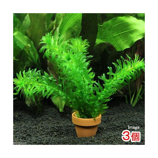 ij~jfĂ@_JE@Y@_AiJXiRj