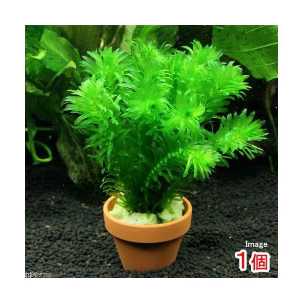 ijfĂ@_JE@Y@_AiJXiPj