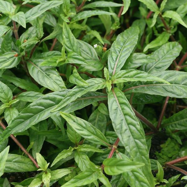 ijA}]nCO@}iEXYitji_jiQO{j