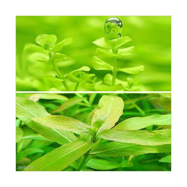 ij[Wp[OXiPO{j{|Xy}itji_jiT{j