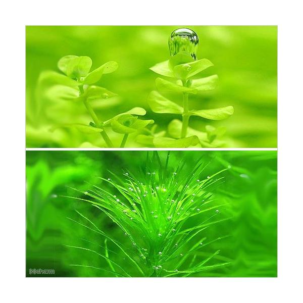 ij[Wp[OXiPO{j{}_KXJGVXitji_jiT{j