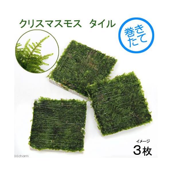 ijā@NX}XX@^Ci_jiRj