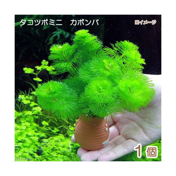 ij_JE@^Rc{~j~j@J{oiPj