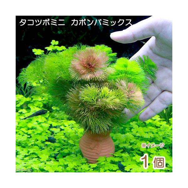 ij_JE@^Rc{~j~j@J{o~bNXiPj