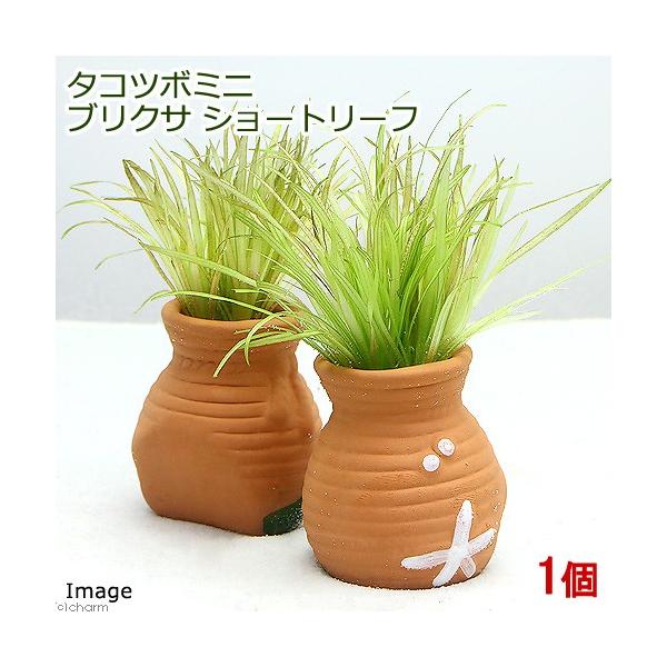 ij^Rc{~j~j@uNT@V[g[ti_jiPj