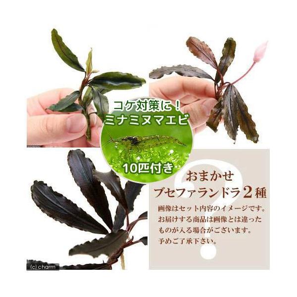 iGrjij܂uZt@hitji_jiQPj{~i~k}GriPOCj@kCEBq֗vۉ