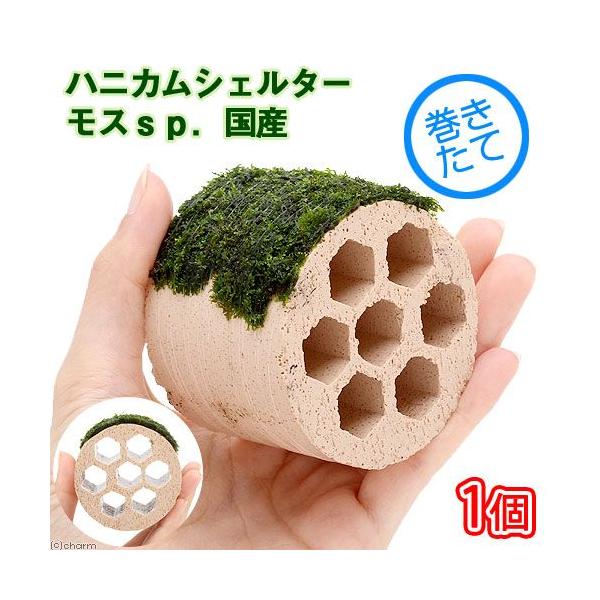 ijā@njJVF^[@XDYi_jiPj