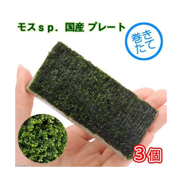 ijā@XDY@v[gi_jiRj