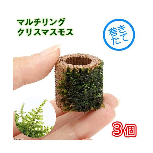 ijā@Ct}`ijNX}XXi_jiRj