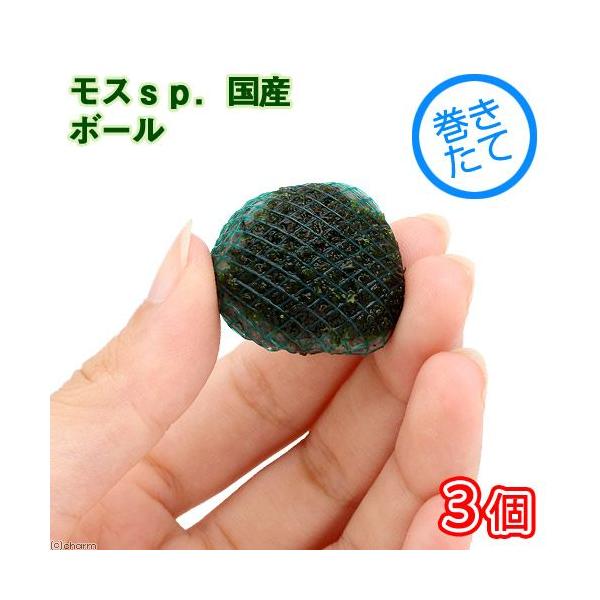 ijā@XDiYj{[i_jiRj