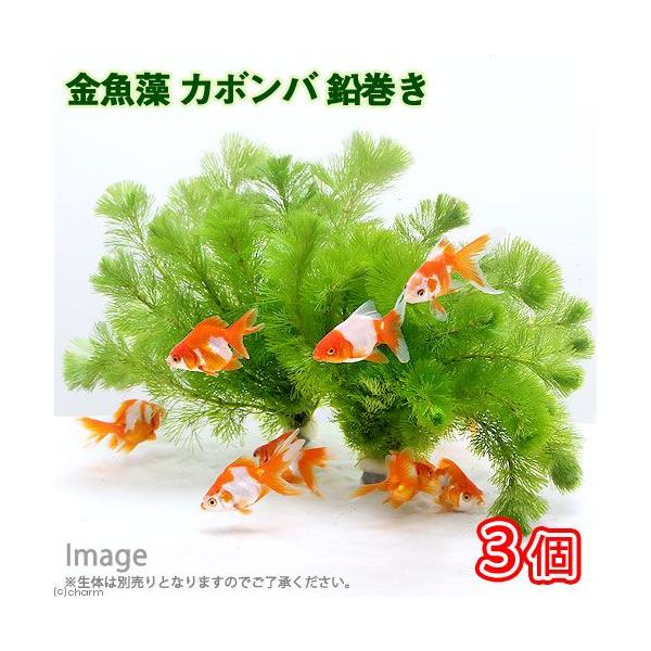 ij_JE@J{o@iV`PO{jiRj