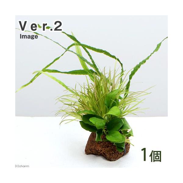 ijo@`@U@{TC@uDQiPj