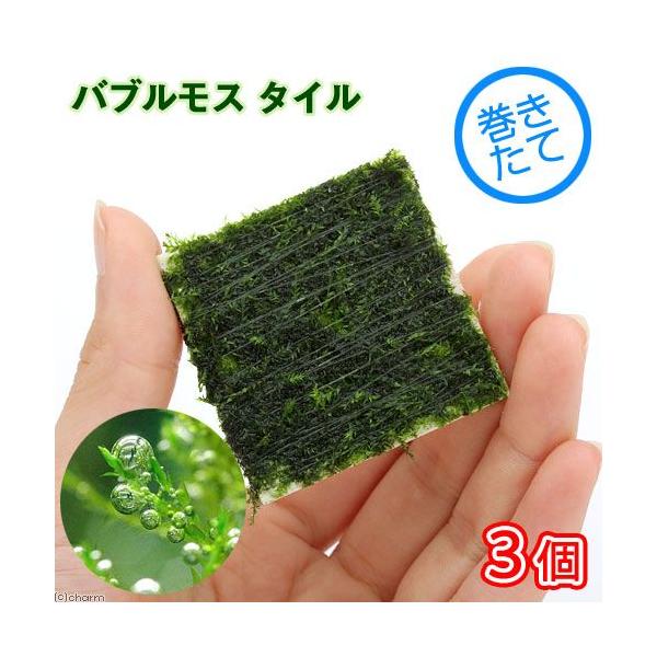 ijā@ouX@^Citji_jiRj