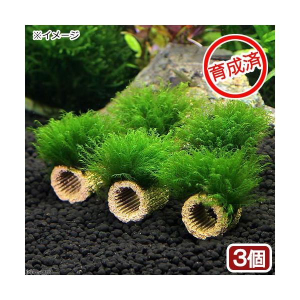 ij琬ρ@Ct}`ij@EH[^[tFU[itji_jiRj