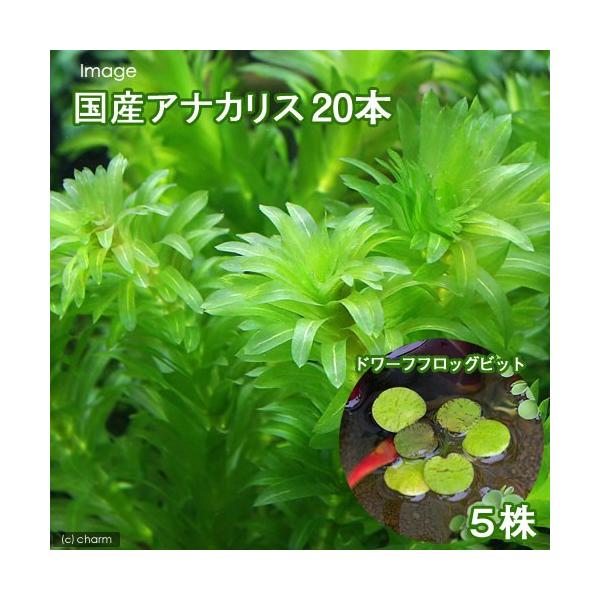 ij_JE@YAiJXiQO{j{h[ttbOrbgiTji_j