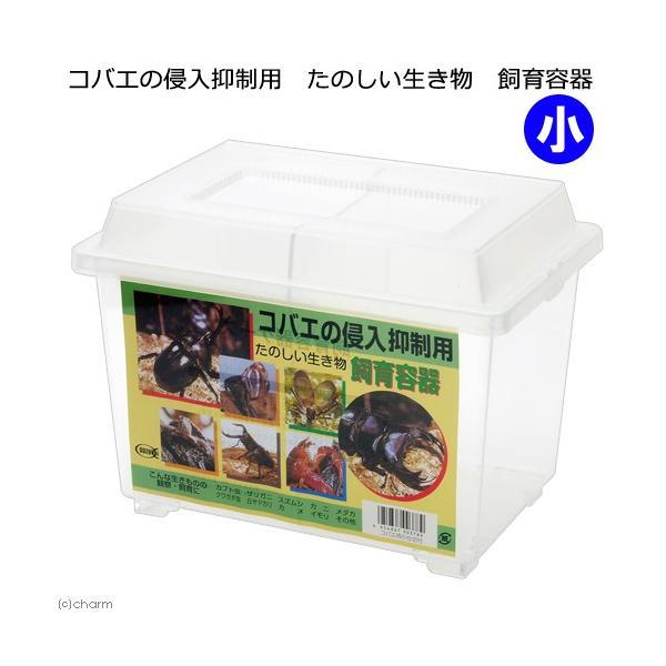 ランキング2022 コバエの侵入抑制用 たのしい生き物 飼育容器 ミニ 仕切りつき プラケース プラケ 昆虫 カブトムシ クワガタ 昆虫飼育ケース コバエシャッターフタ・本体